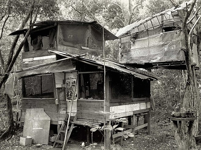 Extraordinary Vintage Photos Reveal Hawaii S Hippie Treehouse Community