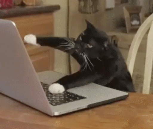 15 Cats And Dogs Who Don't Know How To Use A Computer, Probably