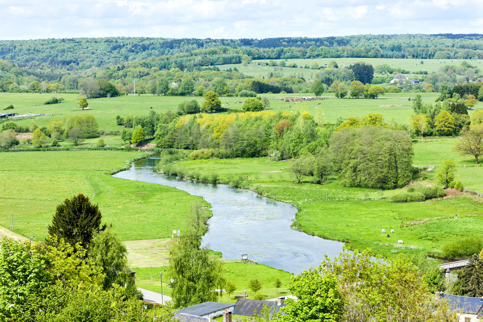 Belgique Paysage Ourthe Fleuve Paysage Wallonie Belgique Hd