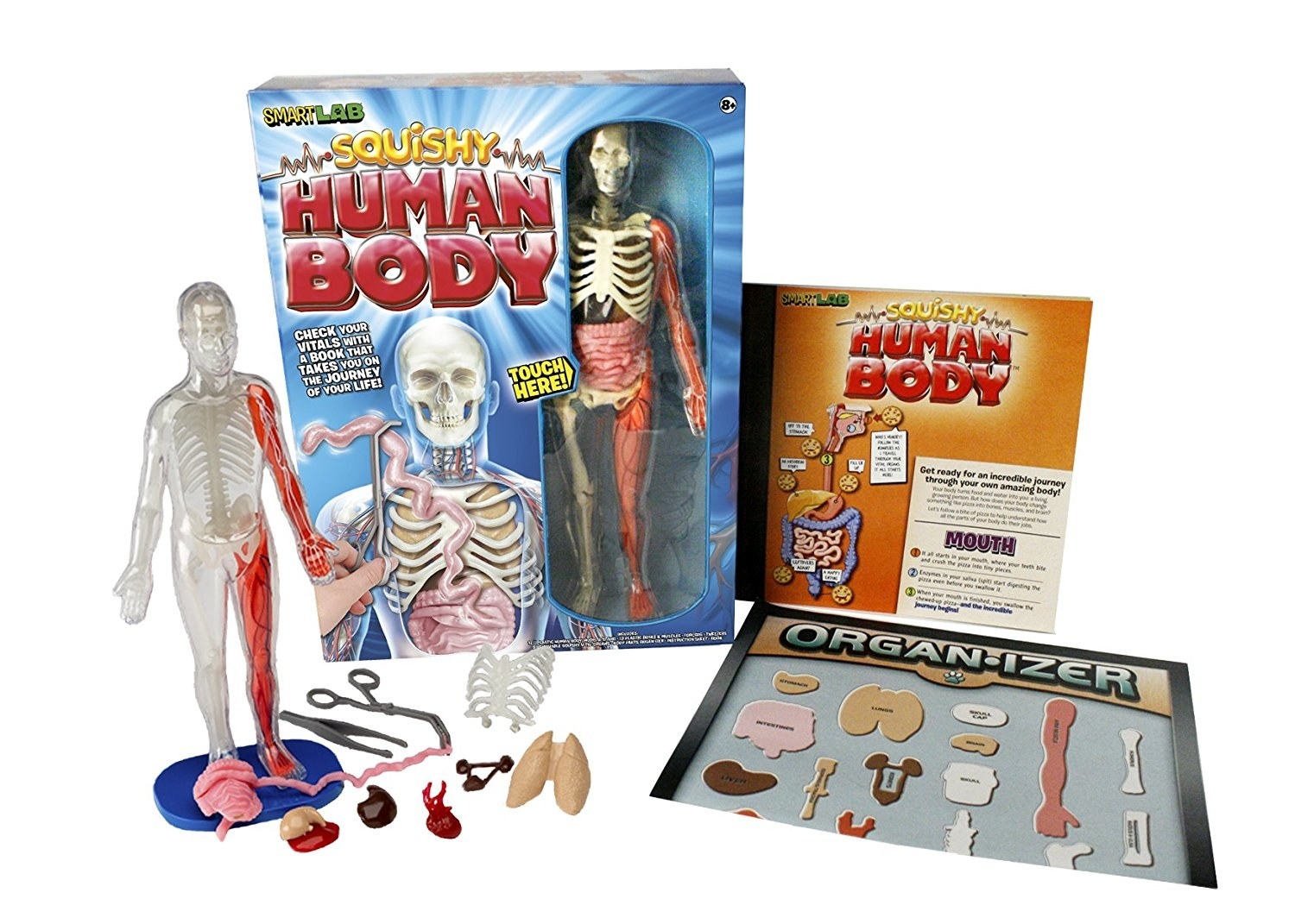 Promising review: "I have never seen anyone so excited to learn about the human body than my little girl when she begged to have this instead of a toy. She loves looking at all the organs and skeletal structure of the human body. Very pleased with this purchase and it has provided hours of fun for my daughter." —Zach TydingsGet it from Amazon for $21.99.