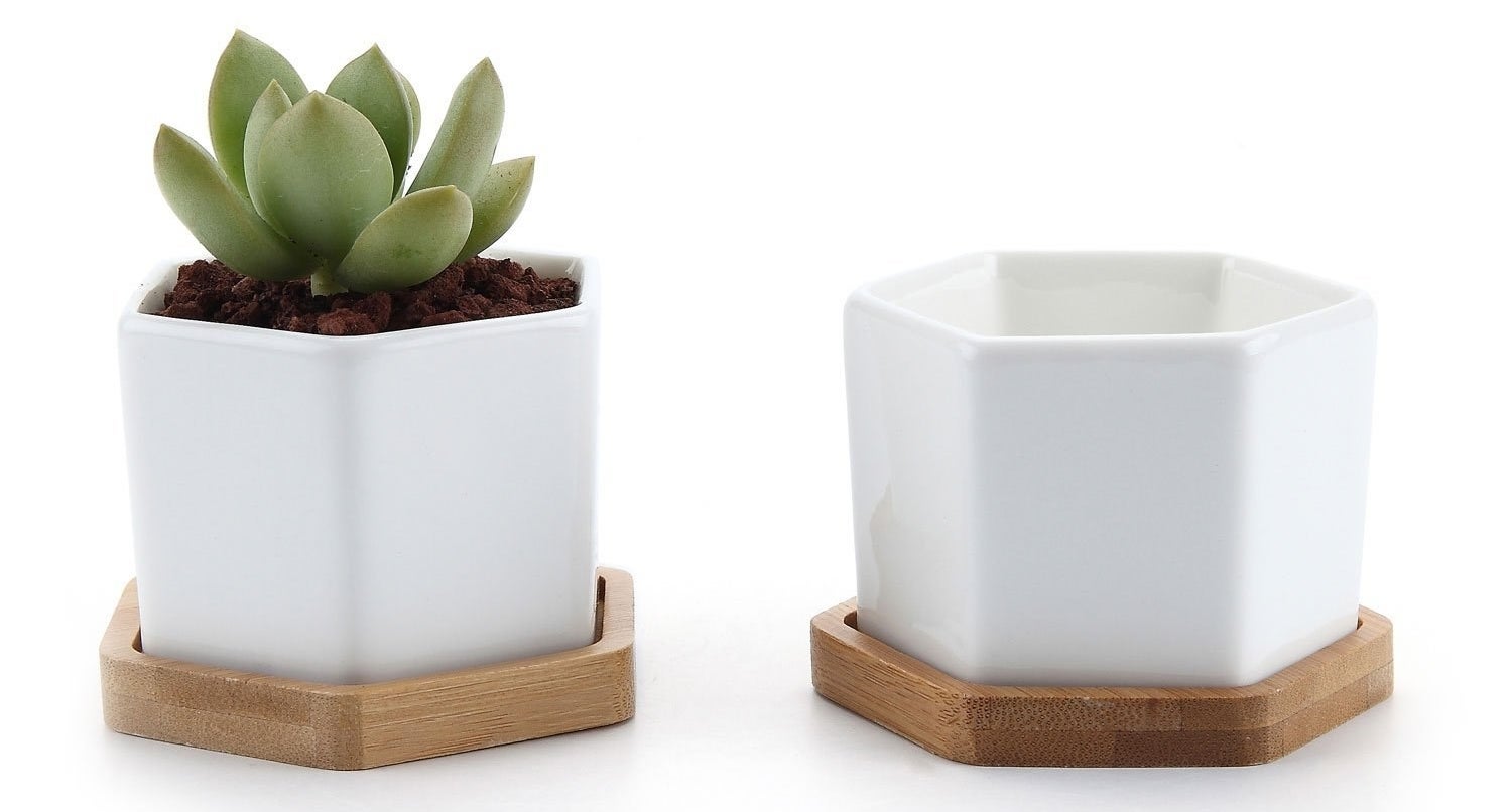 Promising review: "Super cute! My succulents are growing nicely in them. They have an air hole at the bottom, and they were packed in nicely. They all arrived intact and now I have the happiest little succulents in them." —HeyThere!Get it from Amazon for $9.93.