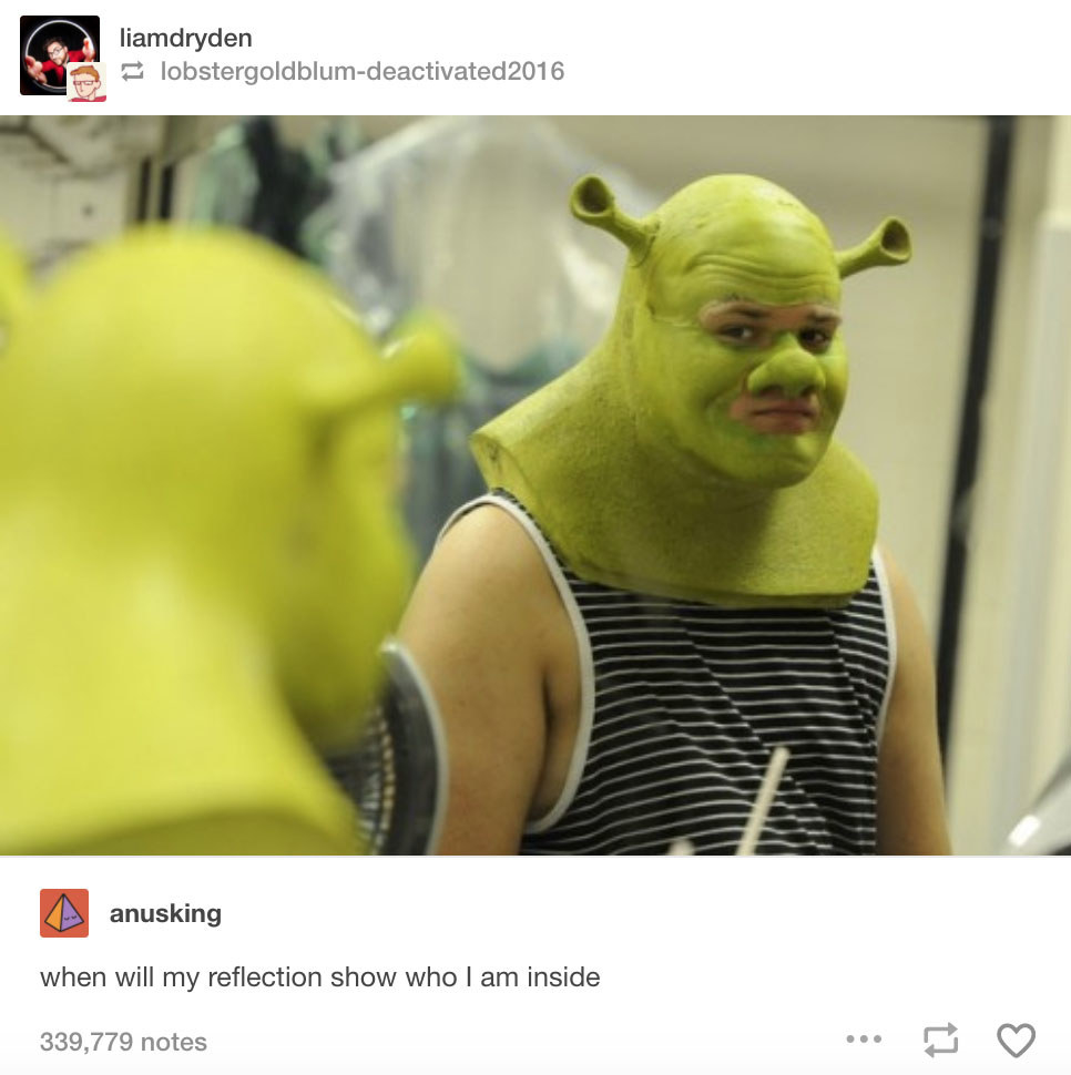 Funny Shrek Memes Clean My XXX Hot Girl