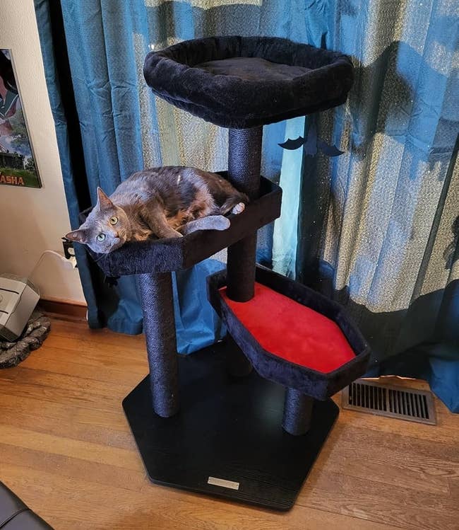 Cat laying on a multi-level cat tree, next to an anime poster, in a room with wooden flooring