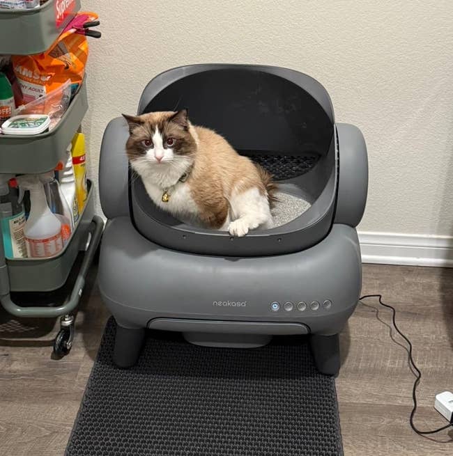 Cat lounging in an automatic litter box next to a cart with cleaning products and pet supplies