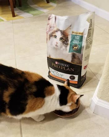 Cat eating from a bowl next to a bag of Purina Pro Plan LiveClear cat food