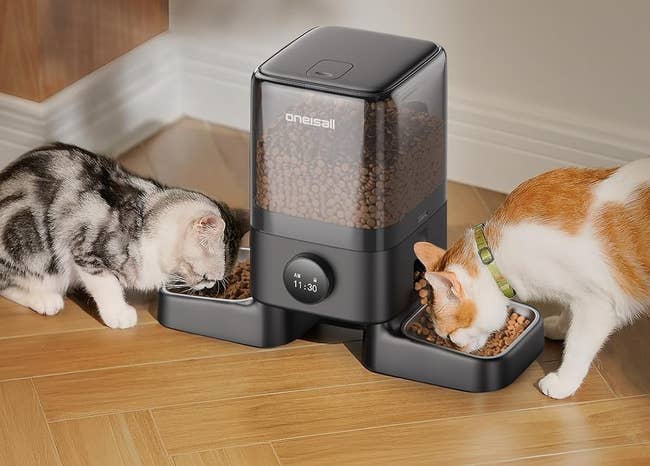 Automatic pet feeder with two cats eating from separate bowls