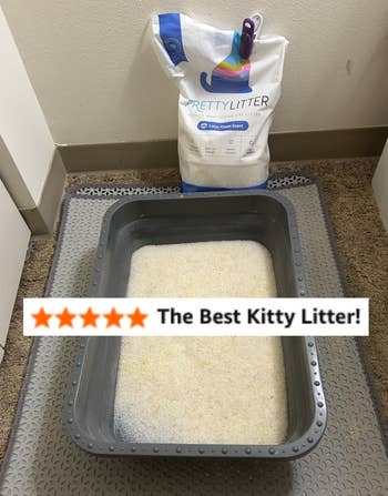 Kitty litter box on mat with Pretty Litter bag in the background; article on pet products
