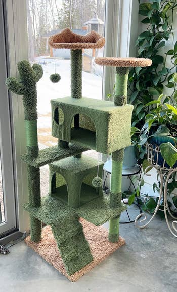 Indoor cat tree with multiple platforms and hideouts, placed near large windows surrounded by plants