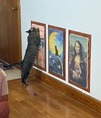 Cat reaching up to scratch wall posters of famous paintings in a living room