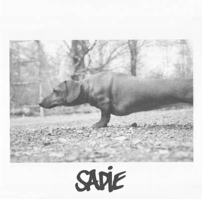 Sadie EP Artwork