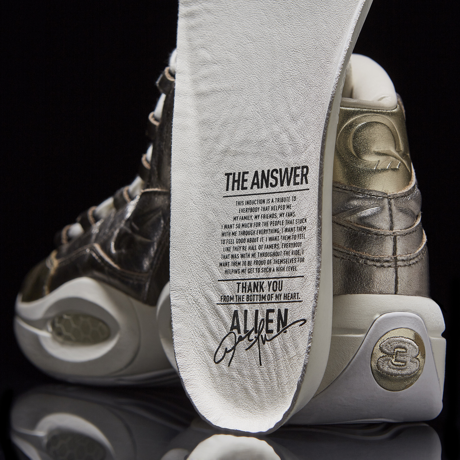 Allen Iverson Hall of Fame Shoes Insole