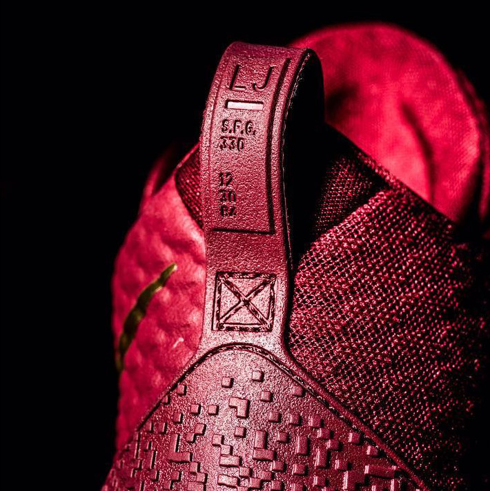 Nike LeBron Ambassador 9 Heel
