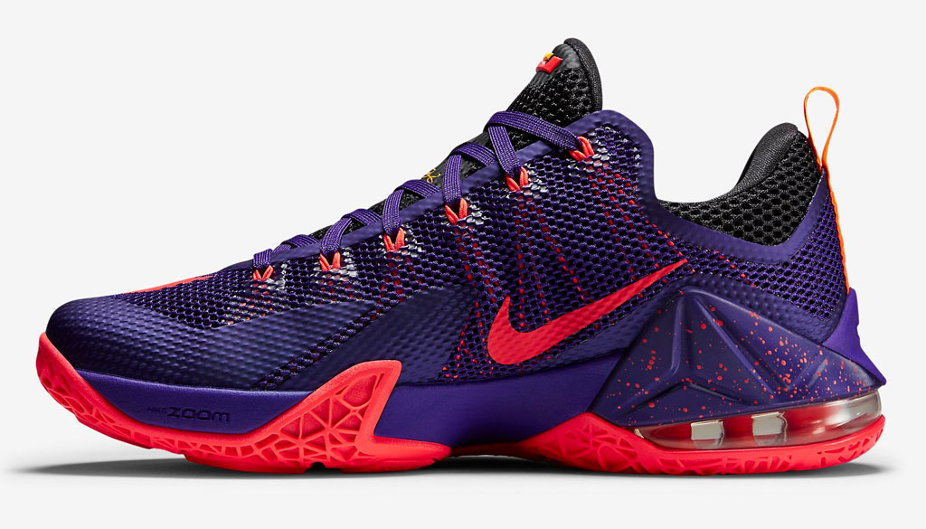 Nike LeBron 12 Low Court Purple 724557-565 (2)