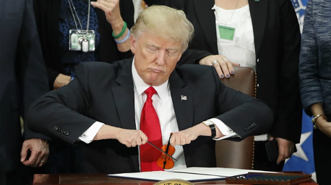 trump hands