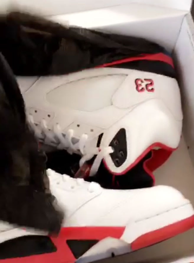 Gucci Mane Air Jordan 5 Fire Red 2
