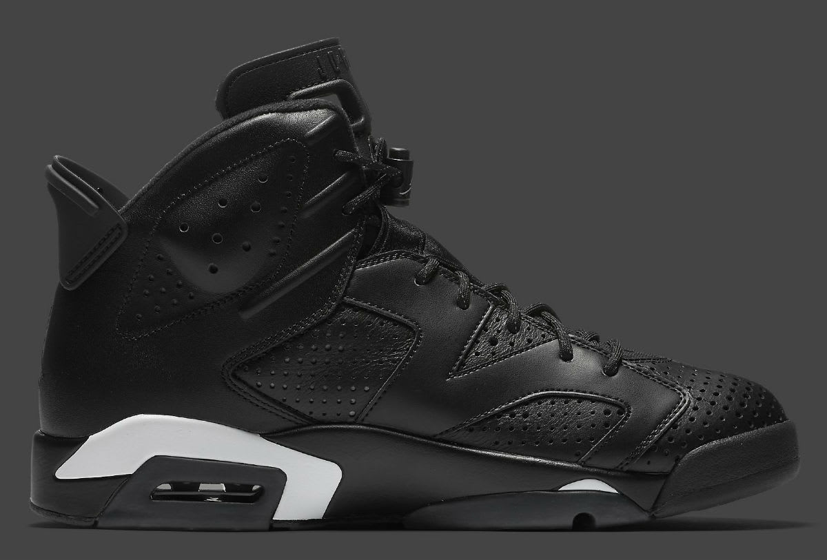 Air Jordan 6 Black Cat Release Date Medial 384664-020