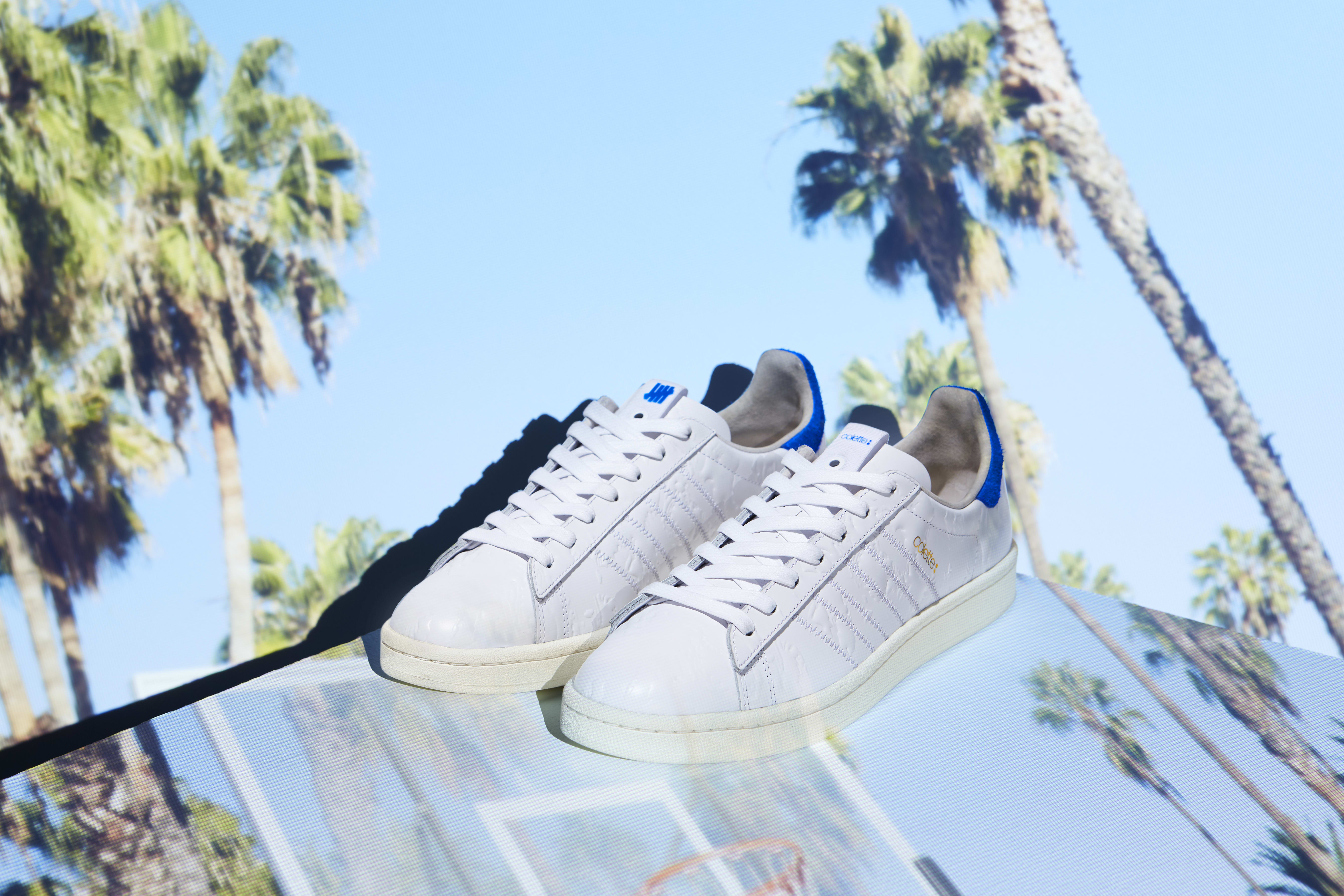 Adidas Consortium UNDFTD x Colette Campus 80