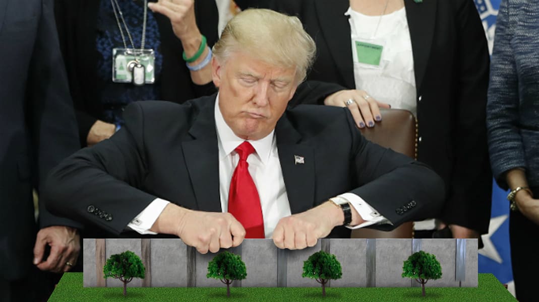 A tiny wall for tiny hands
