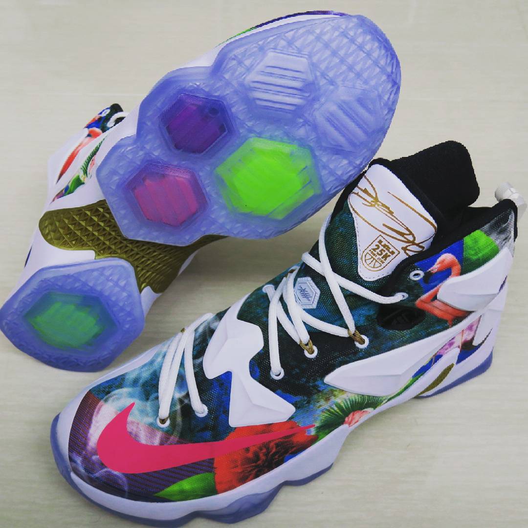 Lebron 13 hot sale floral