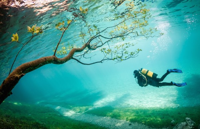 diver in Austria&#x27;s Green Lake by Marc Henauer&#x27;s 