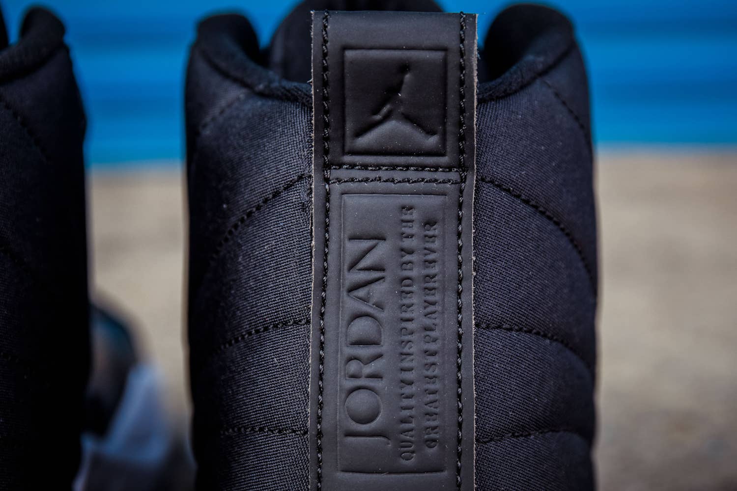 Air Jordan 12 Black Nylon Release Date - Sneaker Bar Detroit