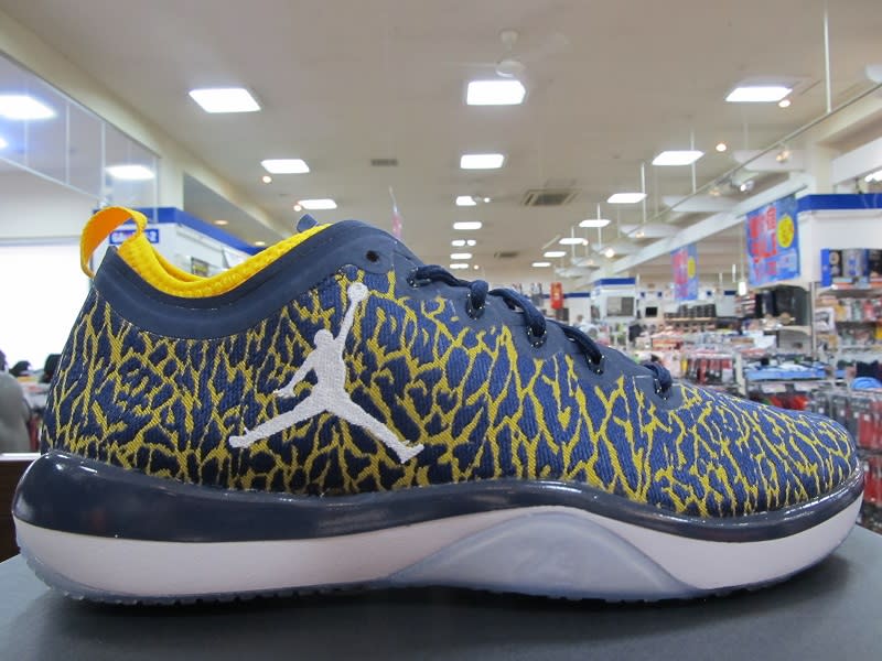 Michigan's First Official Jordan Sneakers Here | Complex