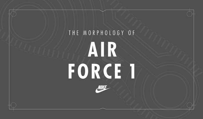 Nike Air Force 1 Morpholoy