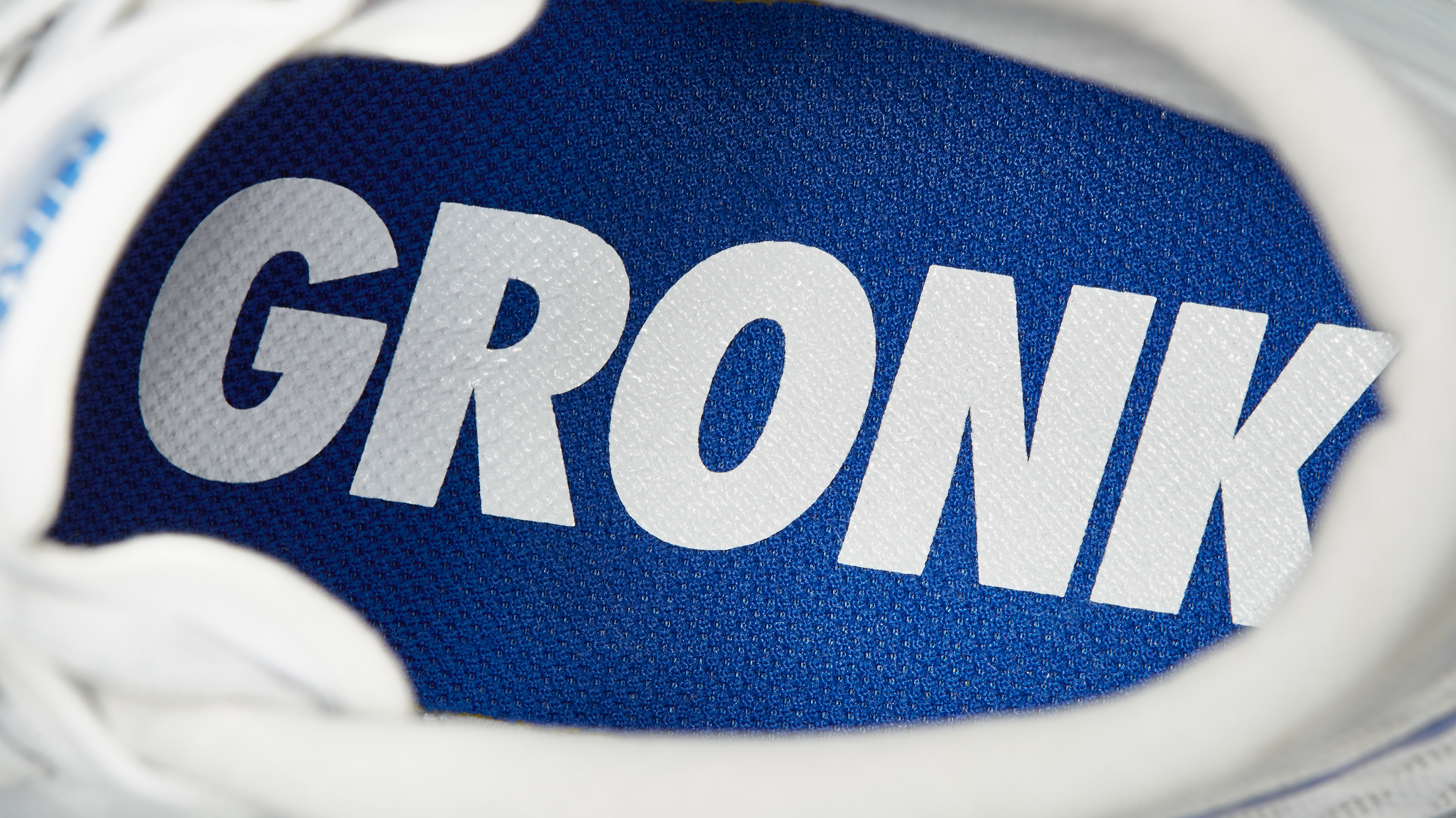 Nike Zoom Train Toranada Gronk Insole