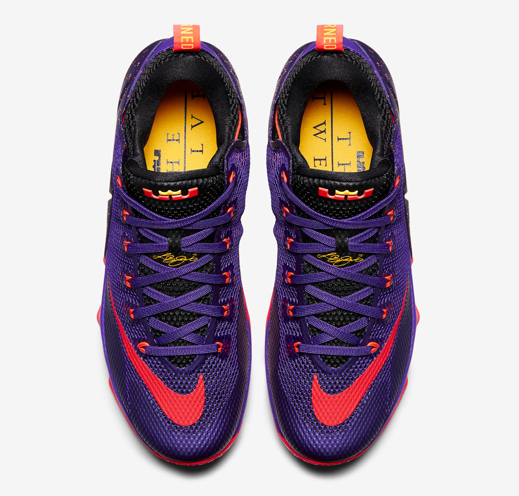 Nike LeBron 12 Low Court Purple 724557-565 (4)