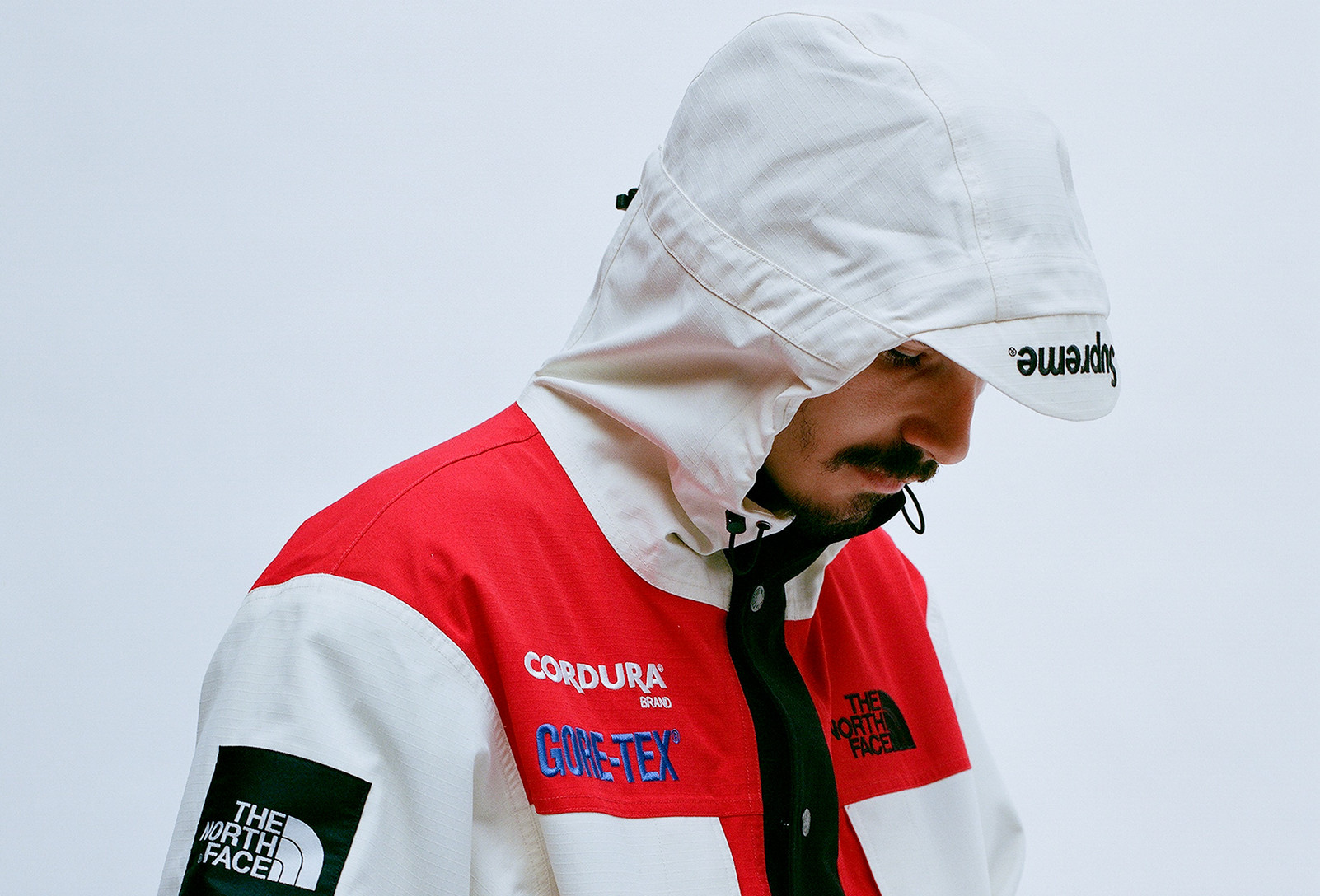 Supreme x the on sale north face 2018