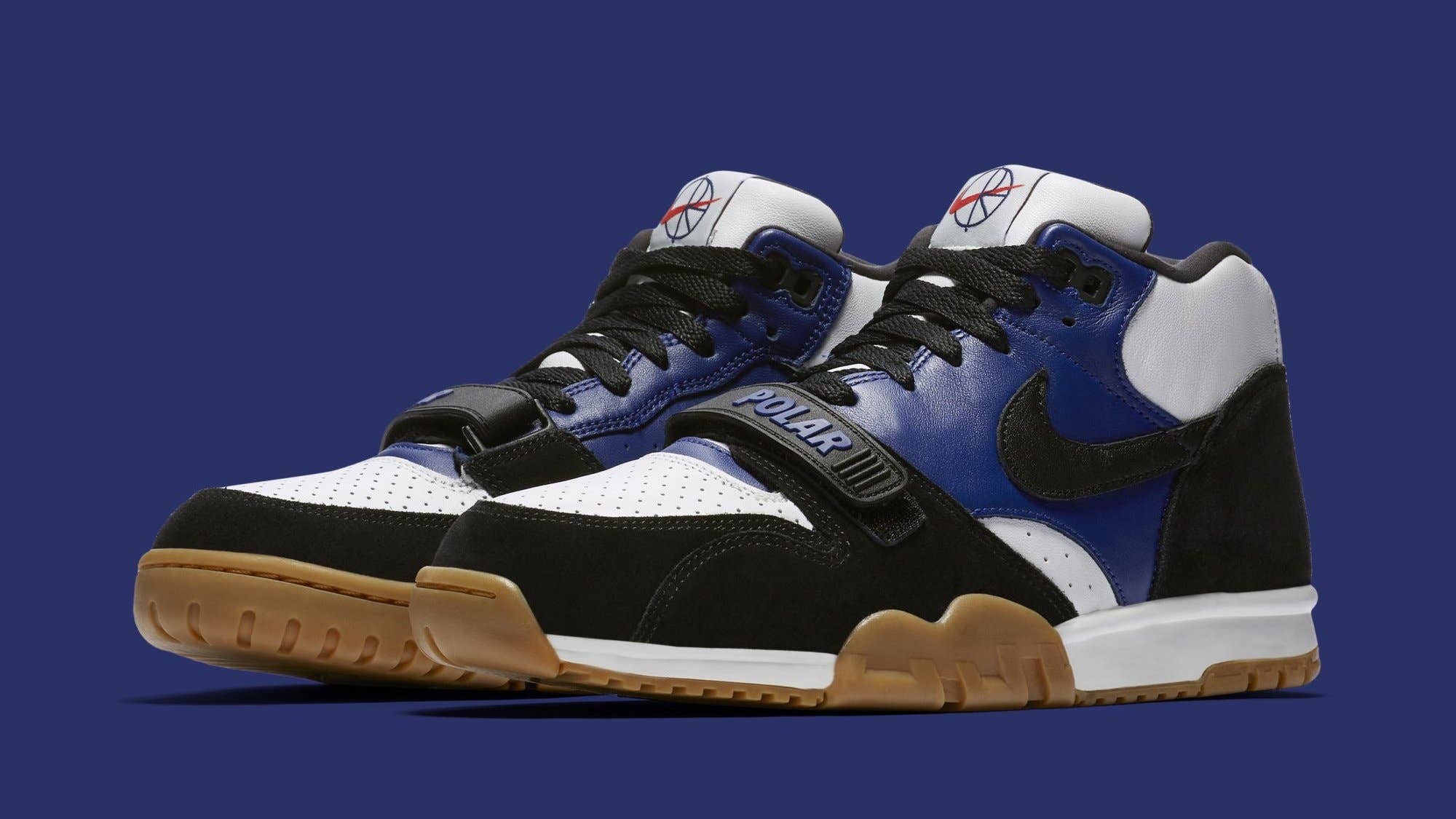 Nike SB Is Back the Air Trainer | Complex