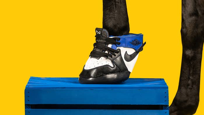 Horse Kicks Fragment x Air Jordan 1 High