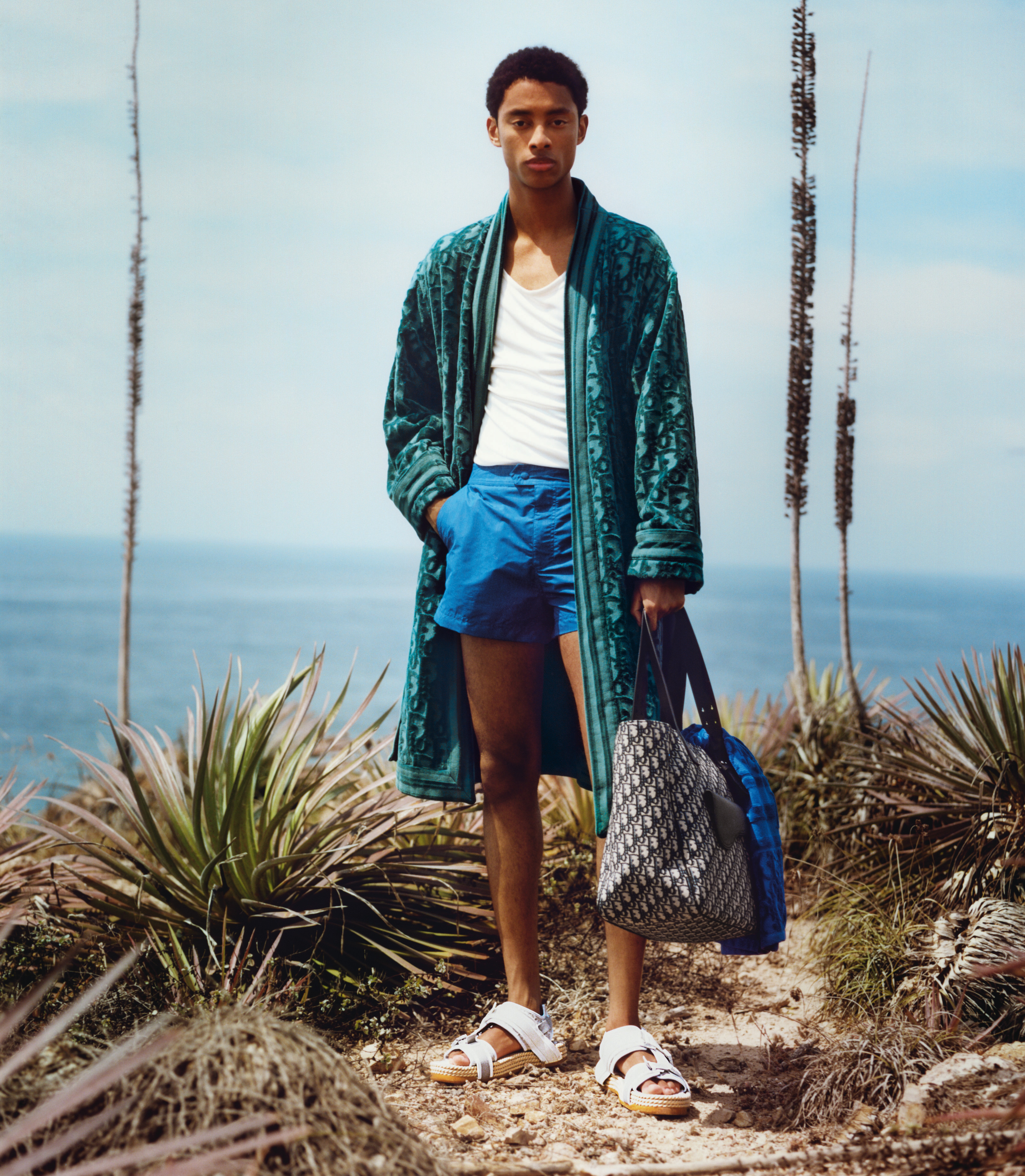 Dior Men&#x27;s Beachwear 2021