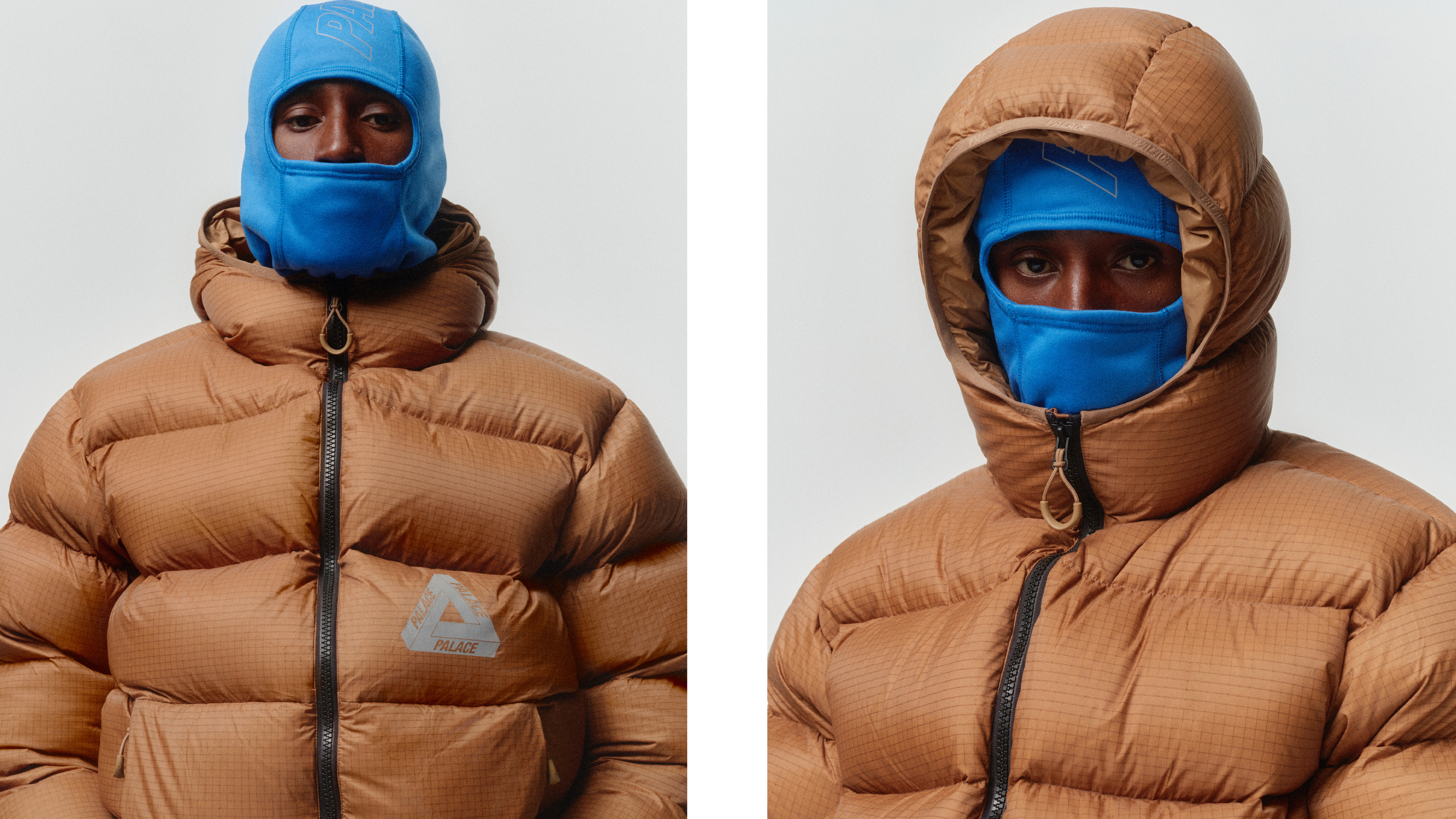 Palace on sale down jacket