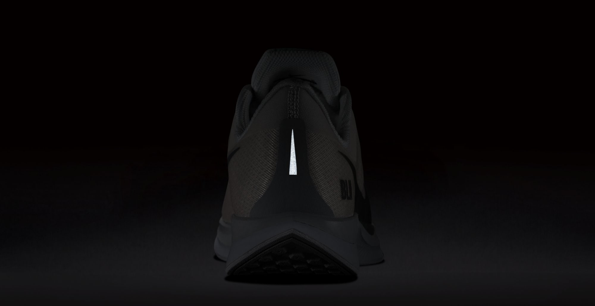 Nike Zoom Pegasus Turbo &#x27;Berlin&#x27; AV7005-001 (Reflective)