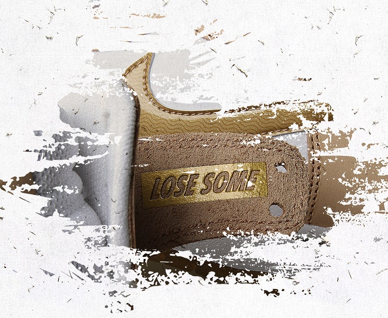 Premier x Nike SB Dunk High TRD (Detail)