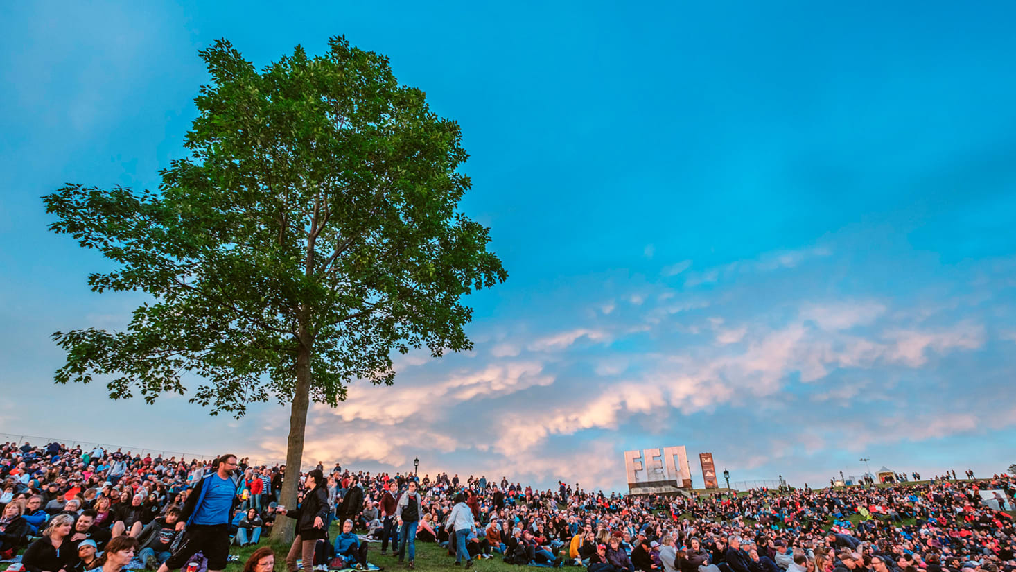 feq-2018-complex-23