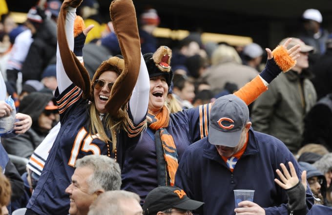 Bears fans celebrate a successful play.