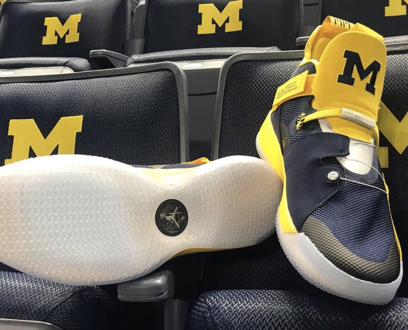 Air Jordan 33 &#x27;Michigan&#x27; PE 5