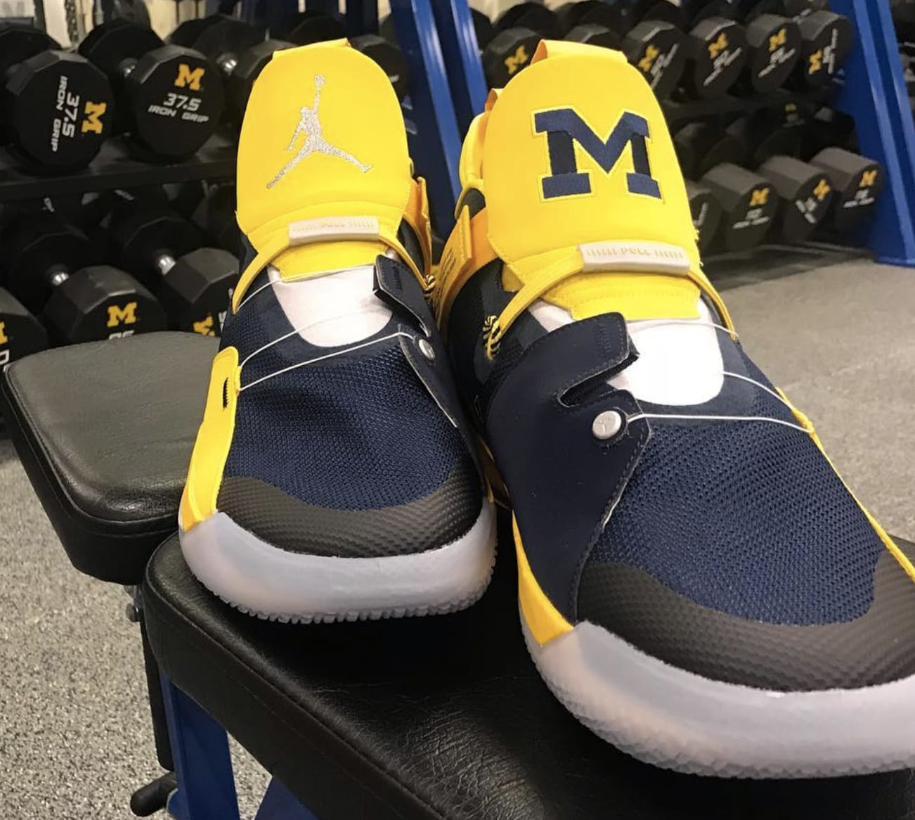 Air Jordan 33 &#x27;Michigan&#x27; PE 3