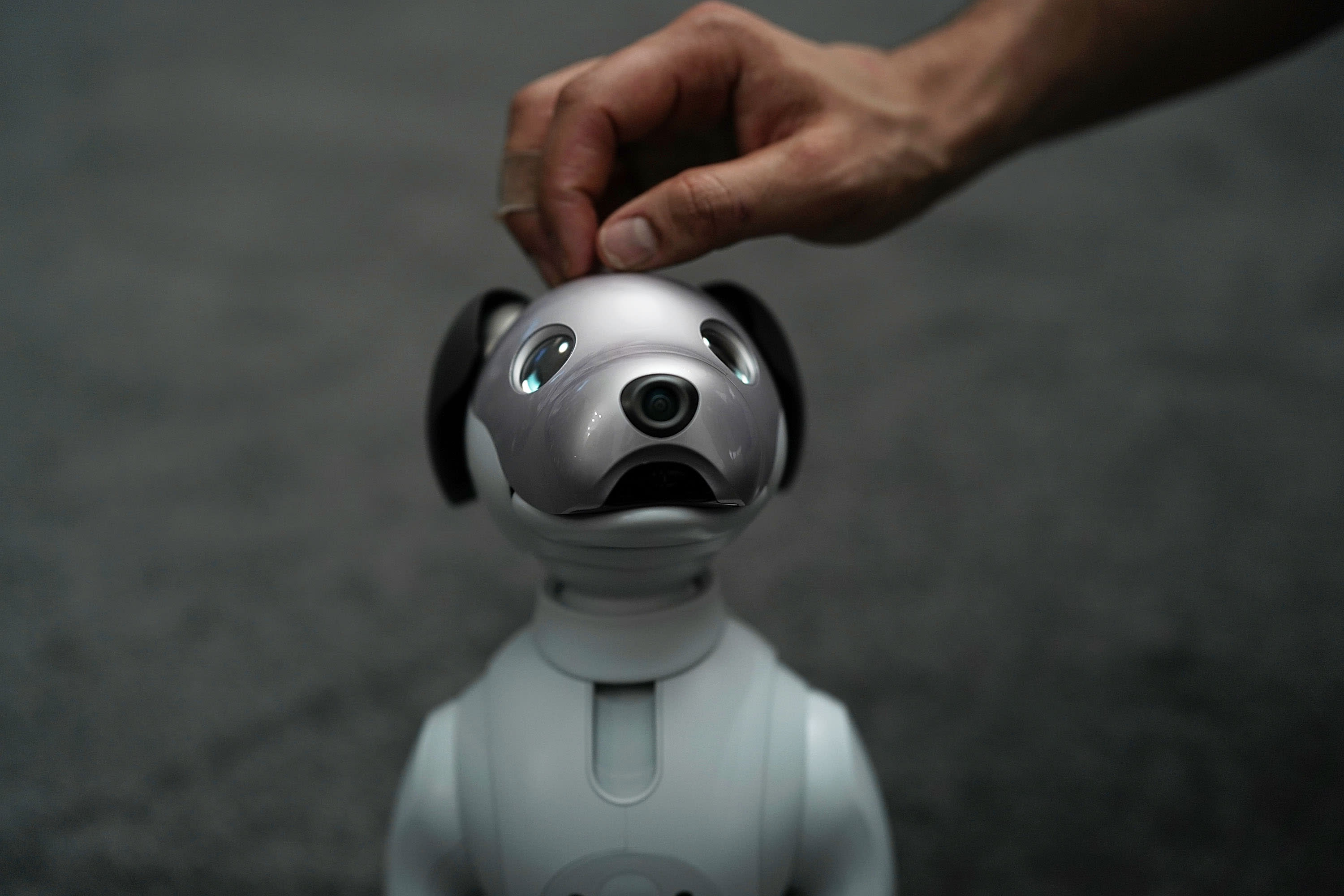 The latest generation of the Sony robotic pet, Aibo, is on display during a press event for CES 2018
