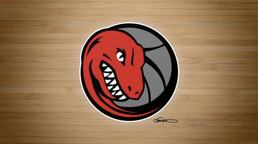 Concept Art: The Blue Jays & Raptors Hybrid Logos