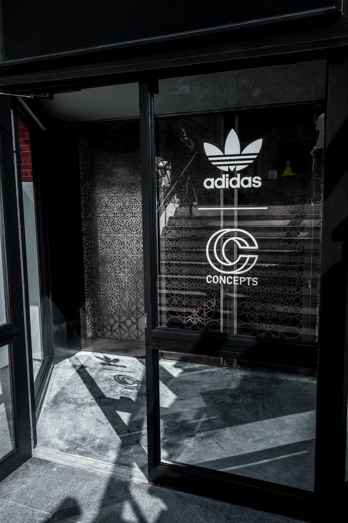 Adidas x Concepts Boston 2