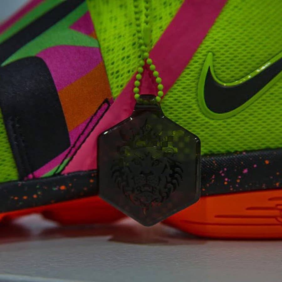 Are These Nike LeBron 14s Inspired by WWE Wrestlers Complex