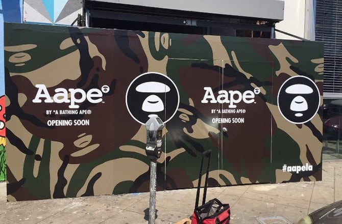 This is a photo of Aape.