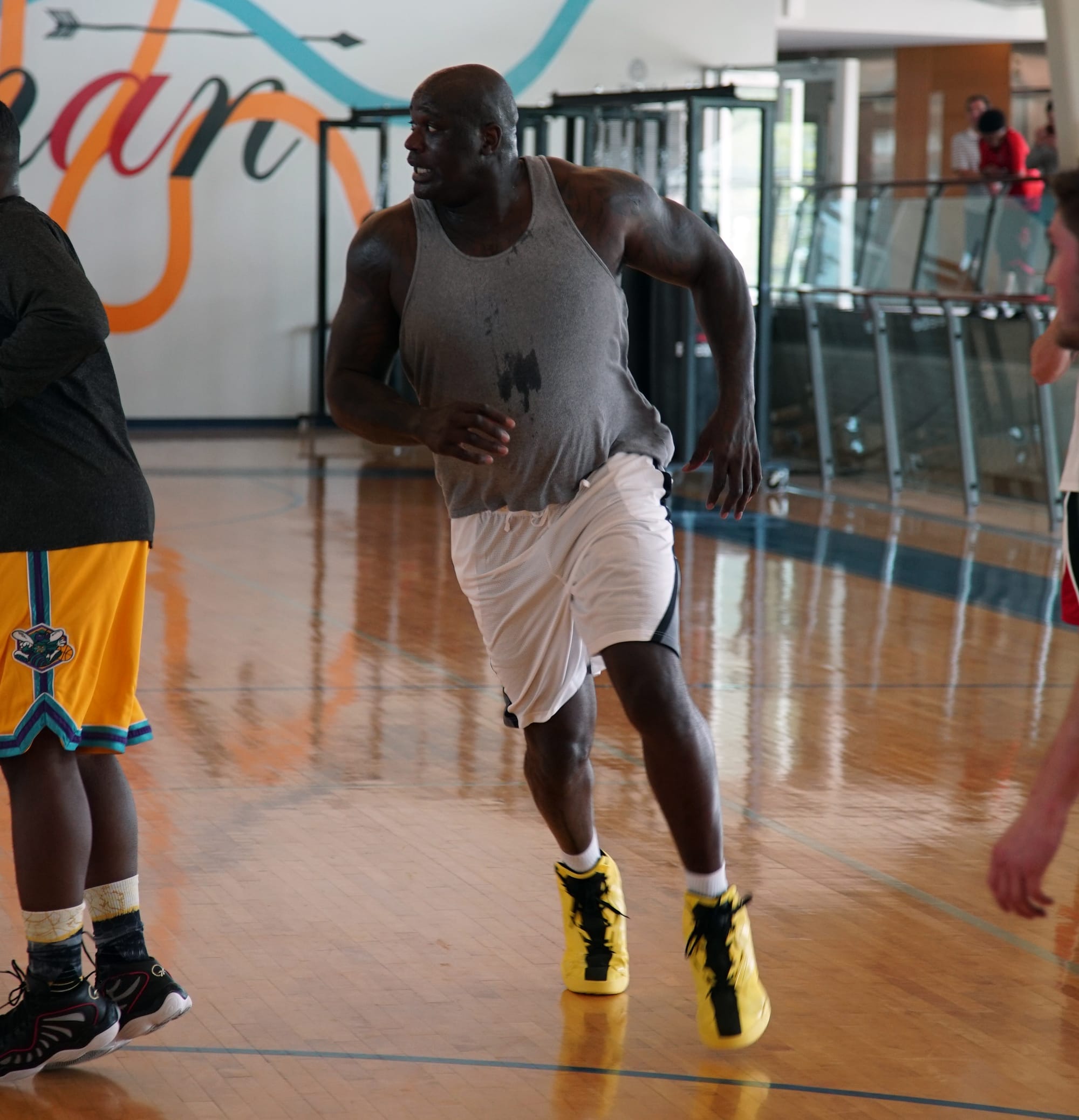 Reebok Shaq Attaq Modern On Feet