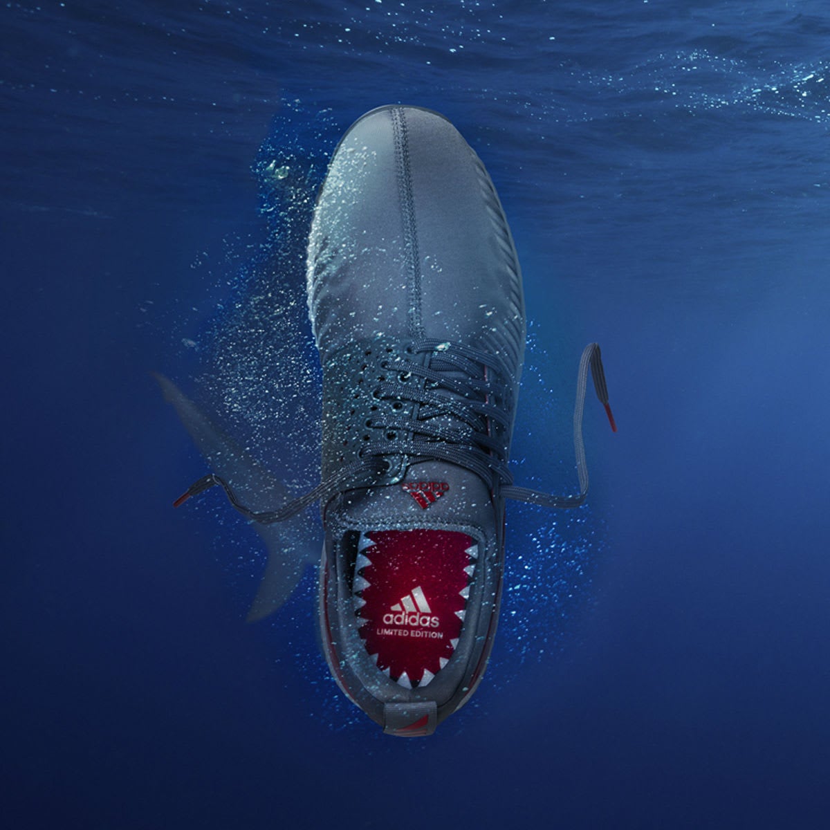 adidas shark deep shoes