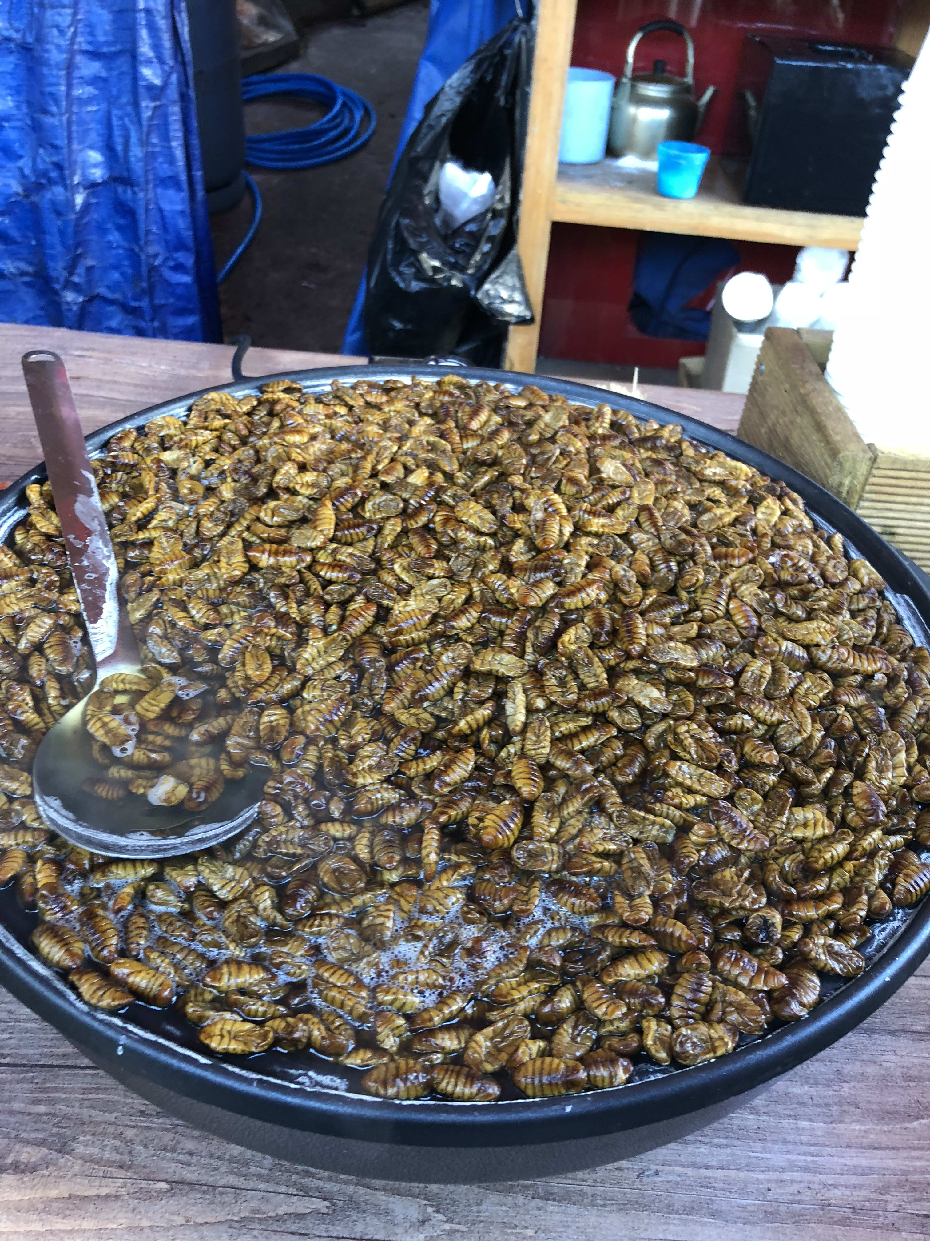 South Korea Bug Cuisine