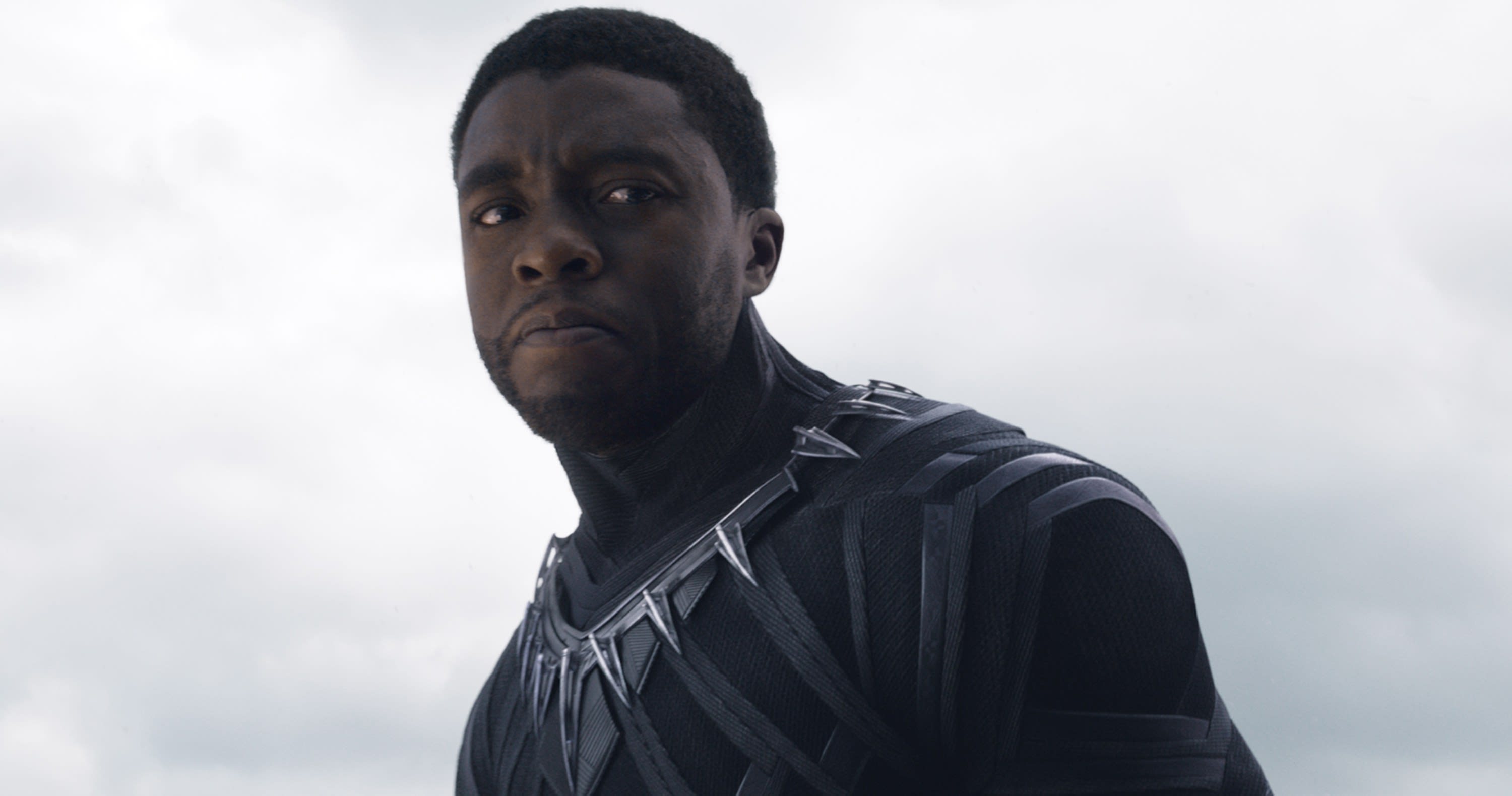 Chadwick Boseman is the Black Panther