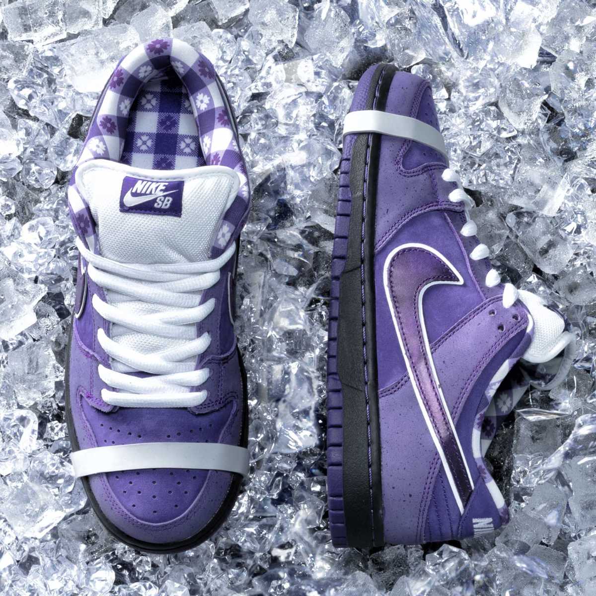 Concepts x Nike SB Dunk Low Purple Lobster Release Date Medial